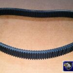 Belt 800EFI 01