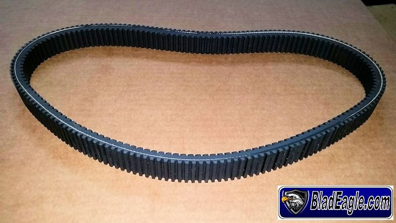 Belt 800EFI 01